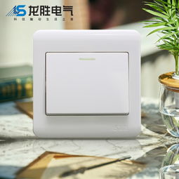 中國(guó)大陸墻面開(kāi)關(guān)市場(chǎng)概述 質(zhì)量、選擇與選購(gòu)指南